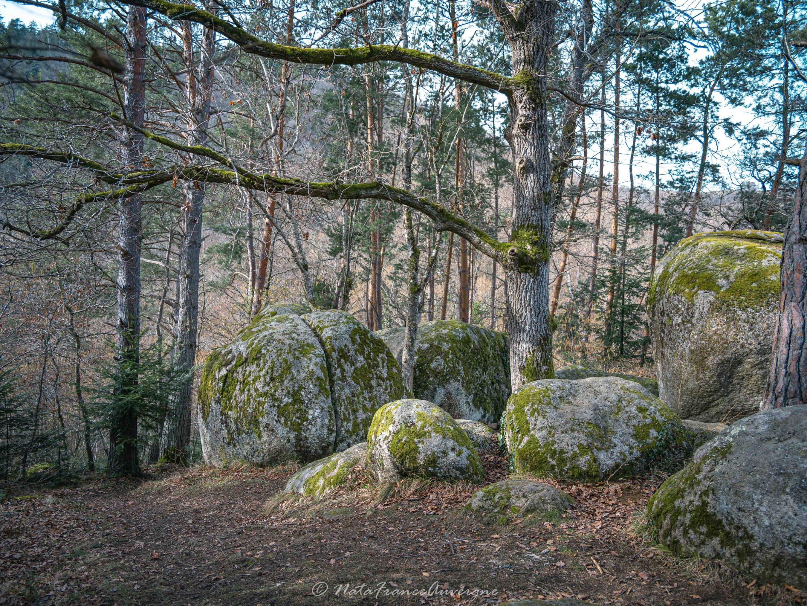 Chaos de Flore fév 2023 by @NataFranceAuvergne-4762 (8)